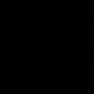 Meet your Posher, Janice